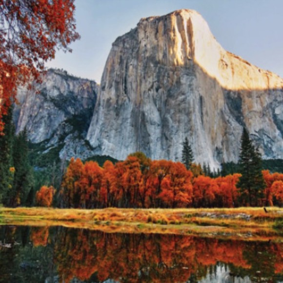 Meet your Posher, Jeff - Picture 1 of 1